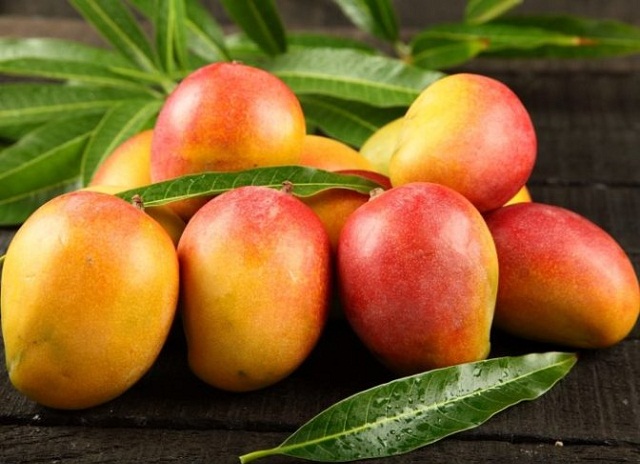 Hương vị xoài cam lâm