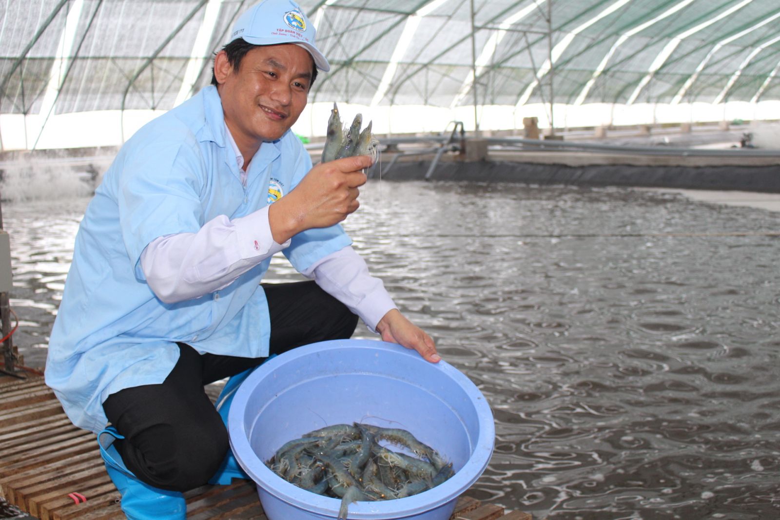 dự án nuôi tôm theo công nghệ xanh