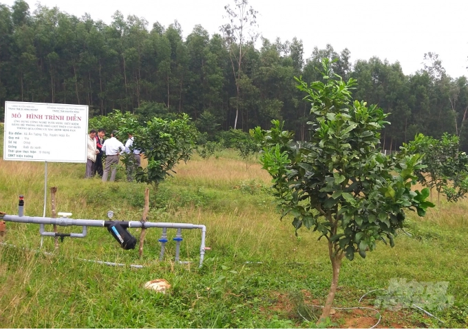 biến đổi vườn tậo thành vườn kinh tế