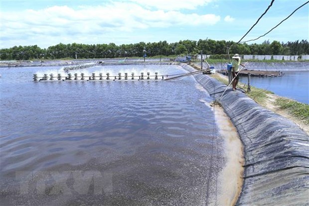 Mở rộng phát triển thủy sản - Tiền Giang phát huy tiềm năng