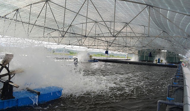 Mô hình nuôi trồng thủy sản công nghệ cao đang dần phổ biến ở nước ta