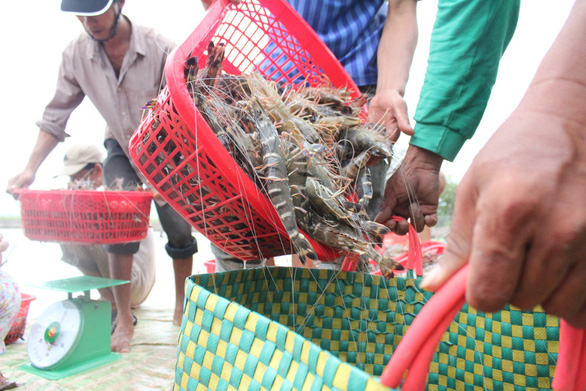 công nghệ mới trong ngành nuôi trồng thủy sản
