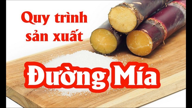 Công nghệ sản xuất đường mía và những điều bạn chưa biết