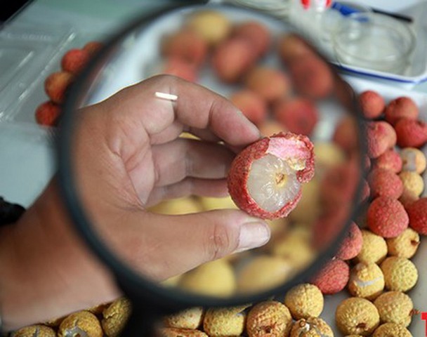 Công nghệ sau thu hoạch – Khái niệm và vai trò quan trọng trong nông nghiệp