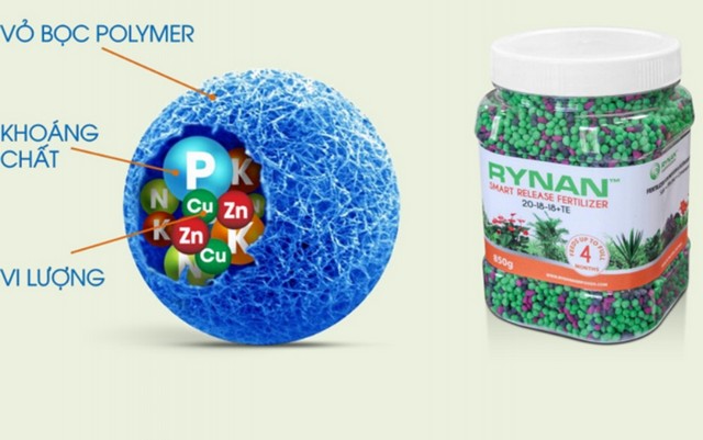 Ứng dụng công nghệ sinh học sản xuất phân bón, thuốc bảo vệ thực vật