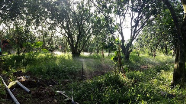 Công nghệ sản xuất sạch đang tạo sức bật kinh tế lớn cho Đồng Nai