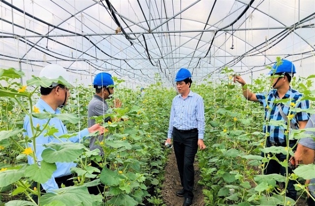 Sử dụng công nghệ thông minh, người nông dân “nhàn” hơn rất nhiều