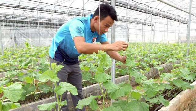 Khởi nghiệp nông nghiệp công nghệ - Cơ hội hay thách thức cho người trẻ?