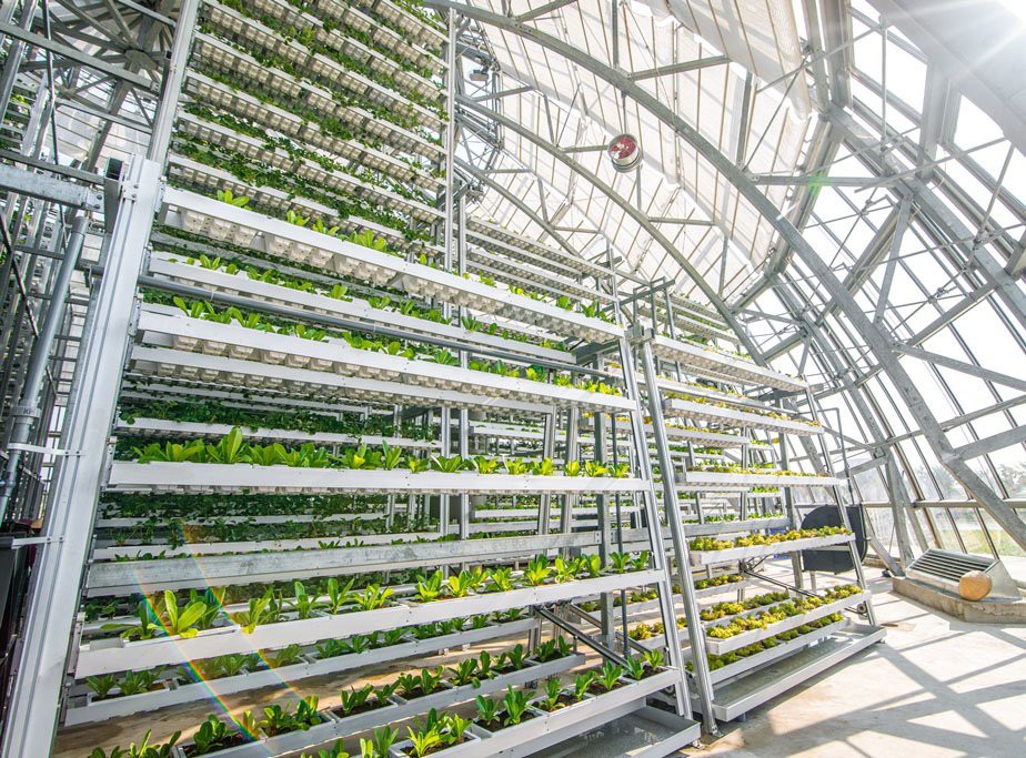 Các mô hình nông nghiệp công nghệ cao lý tưởng ở nước ta