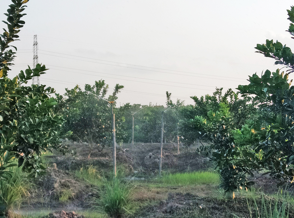 mô hình tưới thông minh