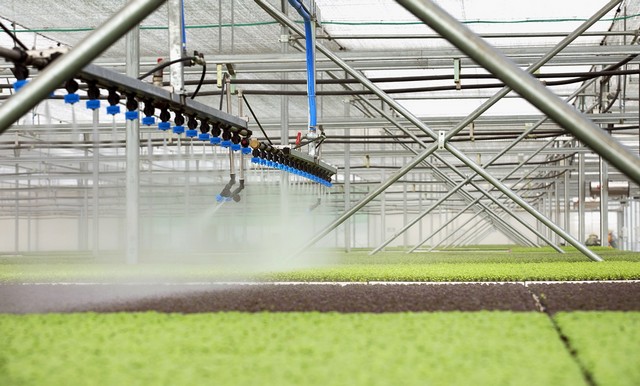 Bạn biết gì về nông nghiệp công nghệ cao trên thế giới?