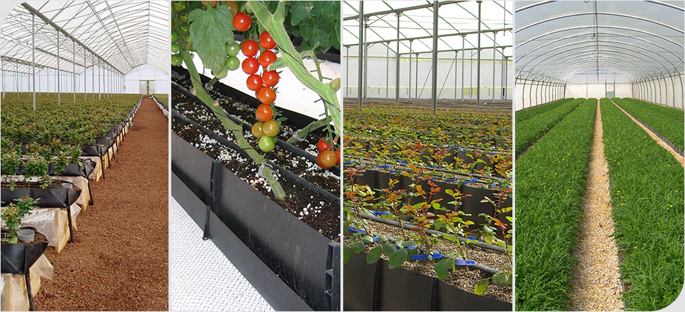 nông nghiệp không dùng đất