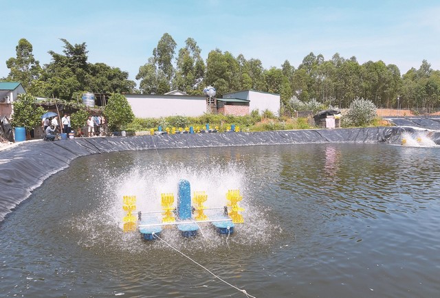 Thành công lớn trong nuôi cá công nghệ cao ở Việt Nam