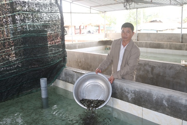 Mỗi giống cá sẽ có chế độ dinh dưỡng khác nhau