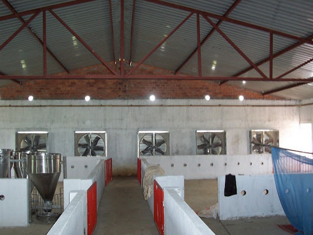 Hệ thống trang bị hiện đại trong mô hình trại heo ứng dụng công nghệ cao