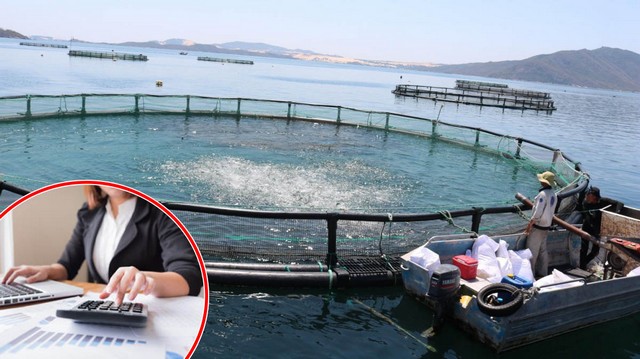 Phần mềm quản lý trang trại giúp giúp tiết kiệm nhân công, tăng thêm lợi nhuận