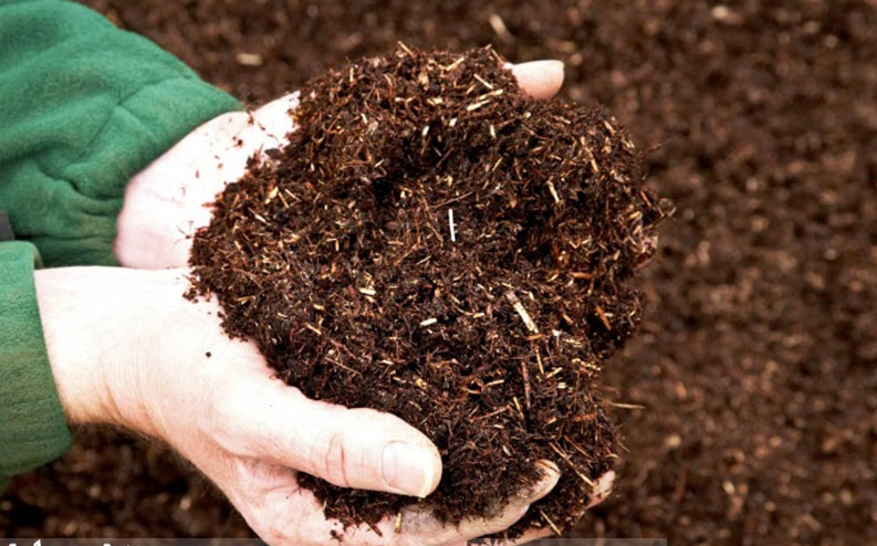 giá thể cho rau trồng thủy canh