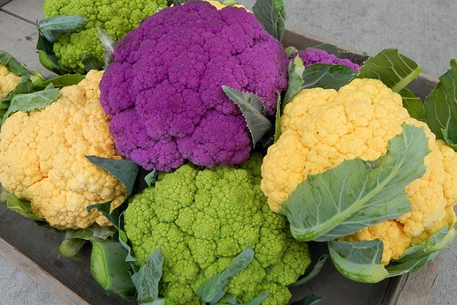 Thành tựu công nghệ gen trong nông nghiệp thật bất ngờ