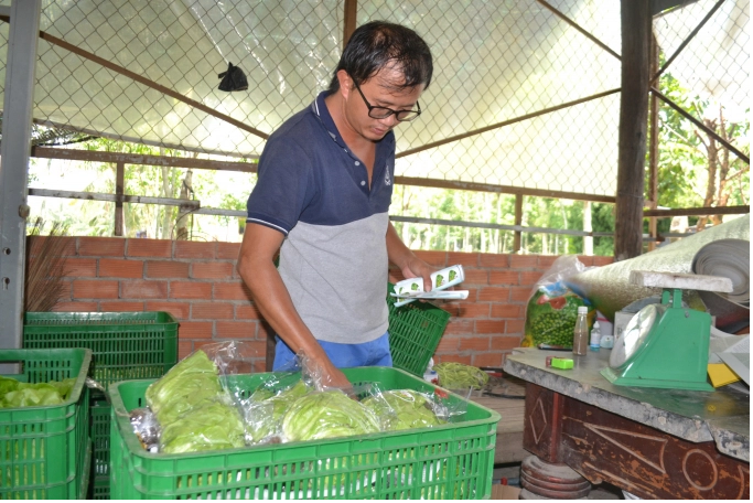 trồng rau sạch theo phương pháp thủy canh