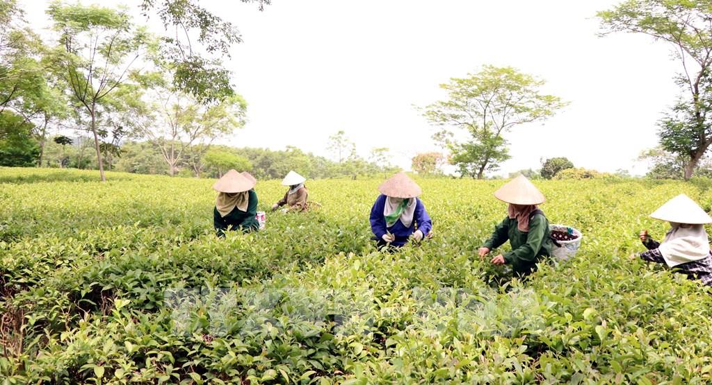 nông thôn công nghệ cao