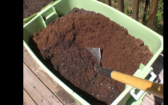 Đất trồng khế phải tơi xốp