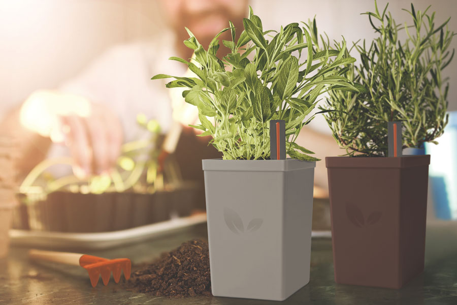 Chậu trồng cây tự tưới hoạt động như thế nào