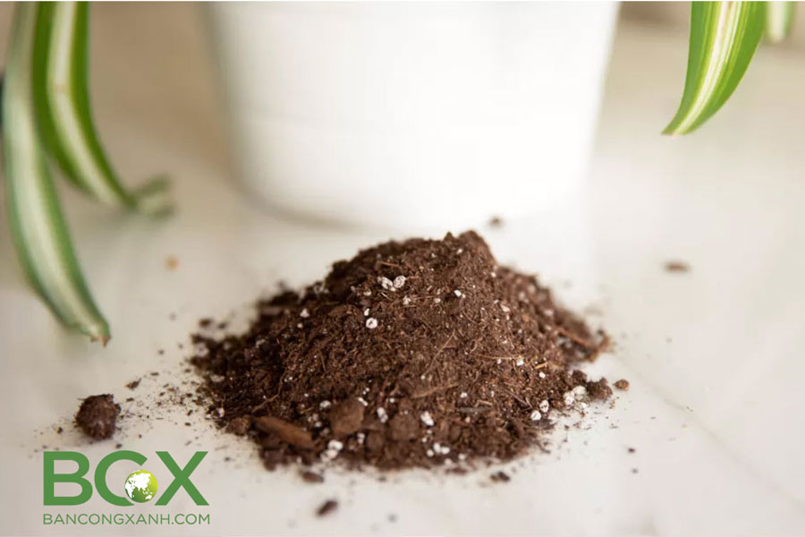 Đất trộn hữu cơ trồng cây nội thất và cây trồng trong chậu 1