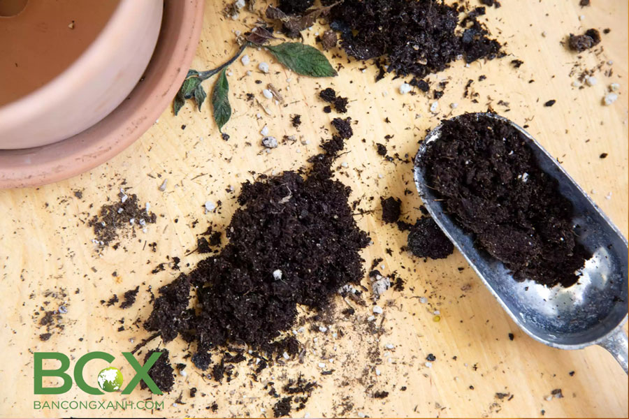 Đất trộn hữu cơ trồng cây nội thất và cây trồng trong chậu 3