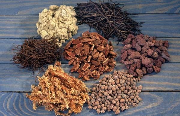 Hướng dẫn cách tự làm giá thể trồng hoa lan