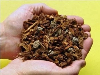 Hướng dẫn cách tự làm giá thể trồng hoa lan