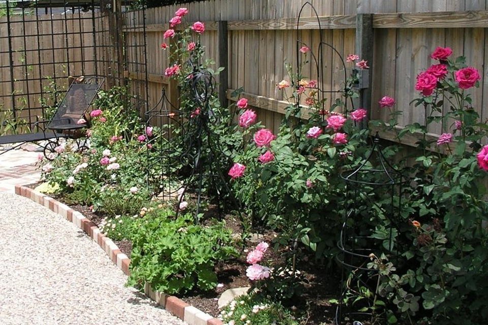 hướng dẫn chuẩn bị bầu đất trồng hoa hồng 2