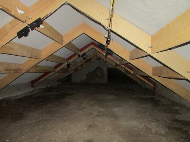 Tìm hiểu chi tiết kỹ thuật nuôi yến trong nhà đảm bảo số lượng, chất lượng