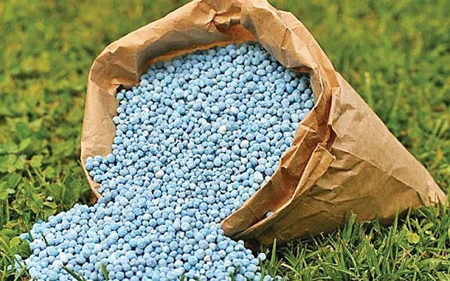 Phân bón là gì? Nó có thật sự quan trọng với cây trồng không?