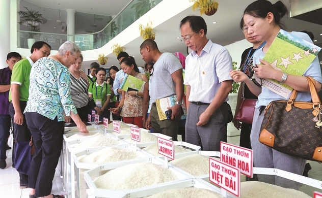 Giới thiệu các giống gạo ngon của Việt Nam vào EU