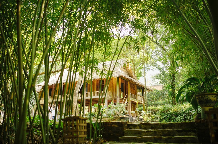 Hay là mình về quê sống đi