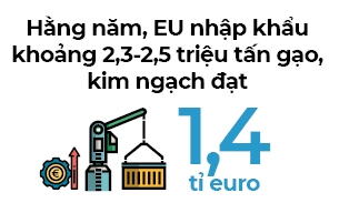 Visa EVFTA cho gạo Việt