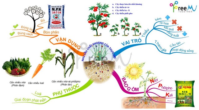 Mỗi loại phân đạm Nitrat mang đến những tác dụng khác nhau