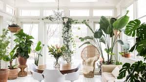 cây xanh trong nhà khiến không gian gia đình bừng sáng