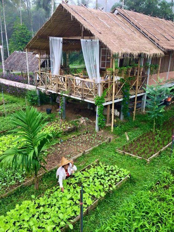 Phát triển loại hình Homestay gắn với phát triển nông nghiệp bền vững