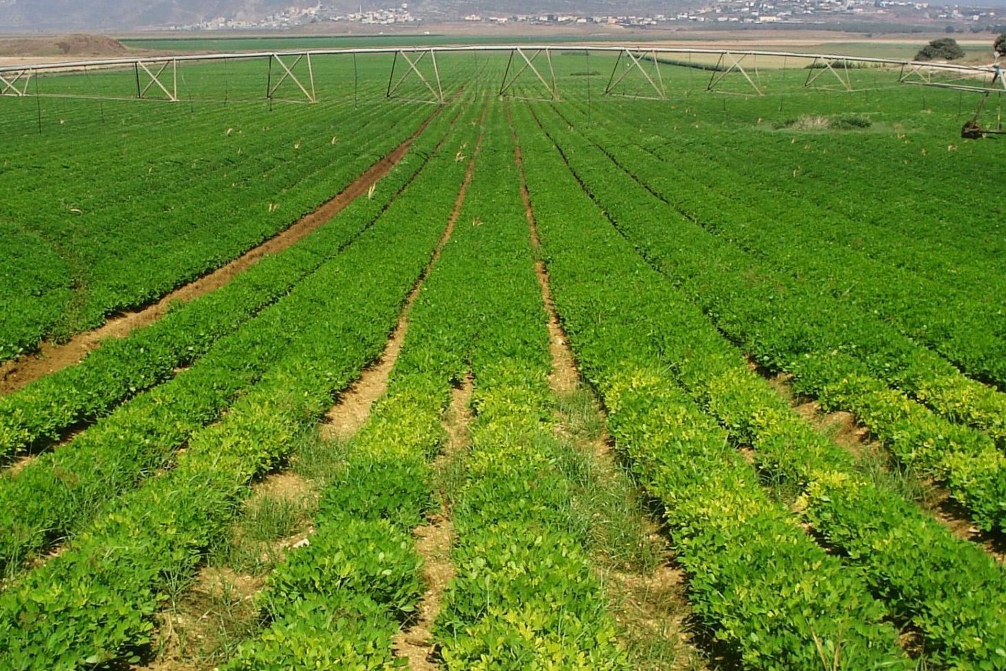 Nông nghiệp công nghệ cao là gì?