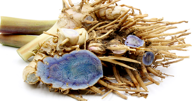 Kỹ thuật trồng nghệ đen bà con nên biết