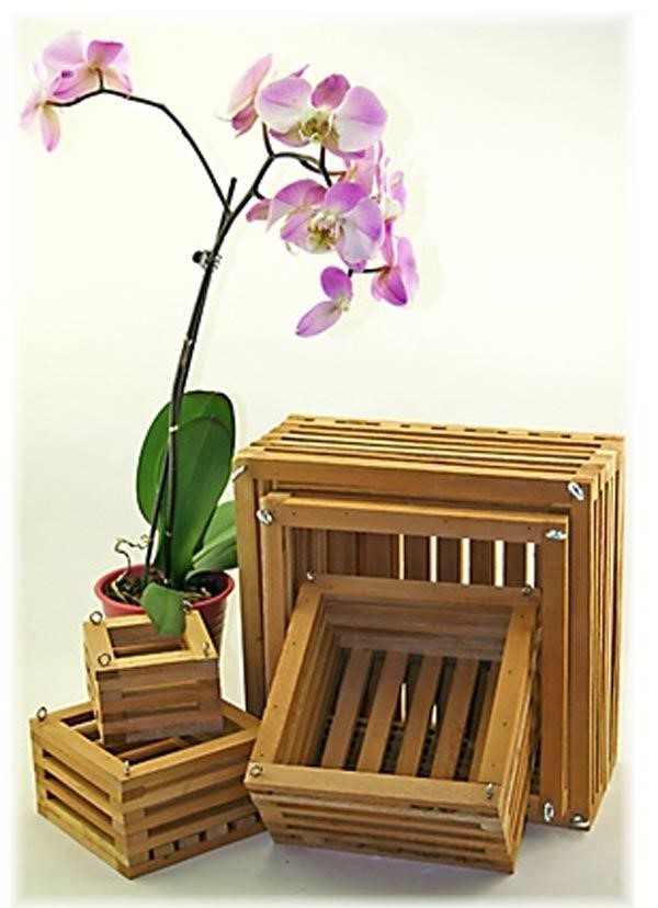 Những chậu trồng lan cần phải có nhiều lỗ để đảm bảo độ thông thoáng