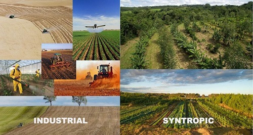 Mô hình vườn rừng- nông nghiêp tích hợp năng lượng