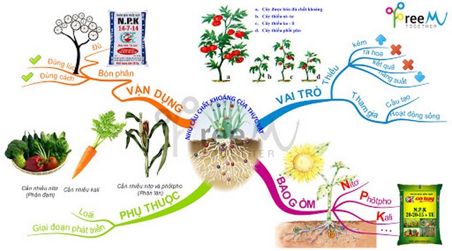 Phân bón hóa học mang đến nhiều lợi ích cho cây trồng