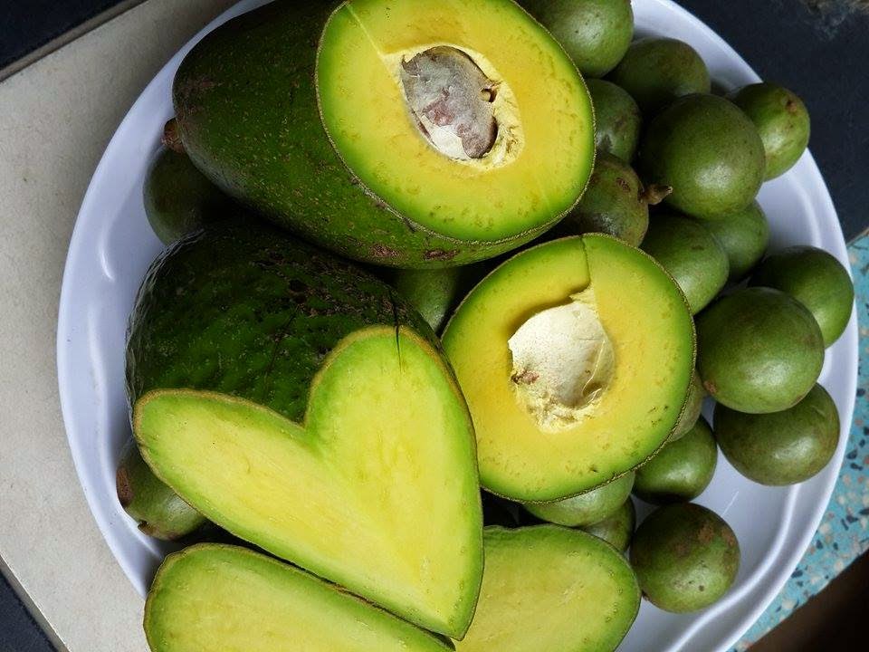 Nông sản Đà Lạt