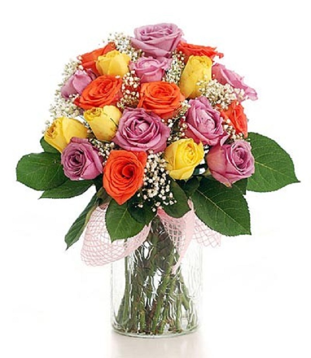 Chậu hoa hồng nhiều màu sắc sẽ giúp không gian trở nên tràn đầy sức sống