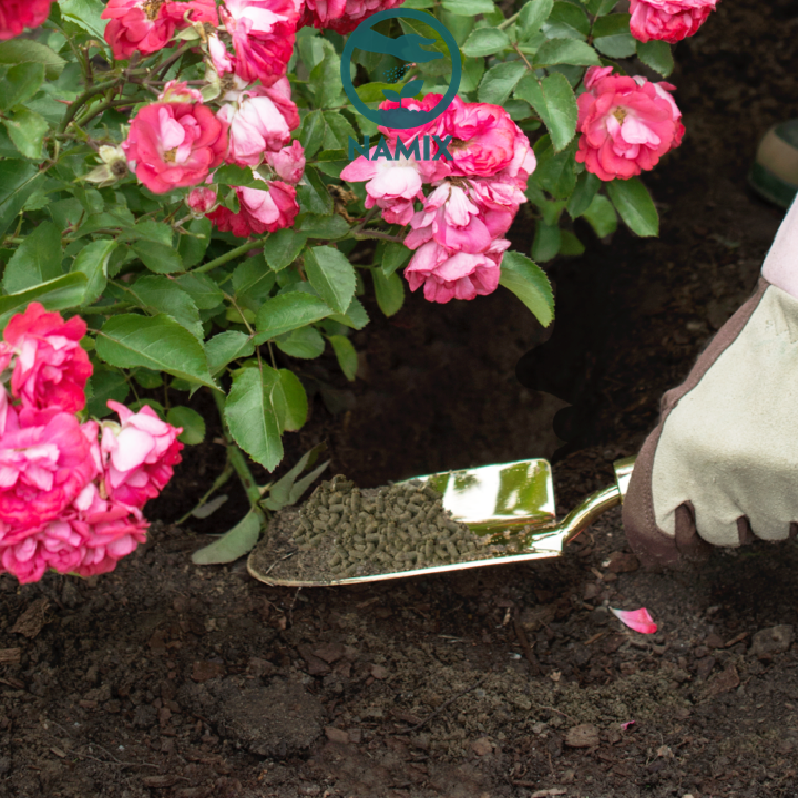 Bón phân cho cây trồng