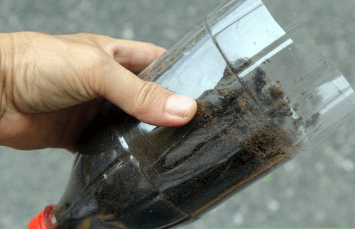 Bước 3 - Cách trồng rau mầm bằng đồ tái chế