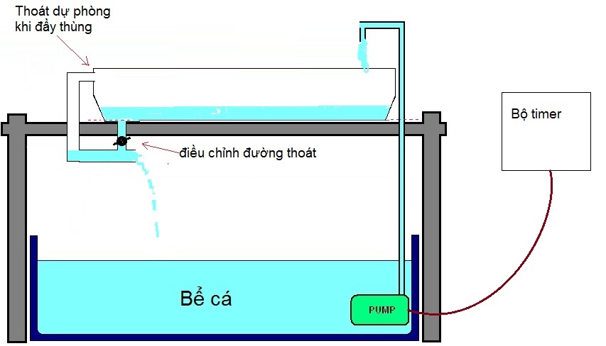 Bộ timer - Aquaponics