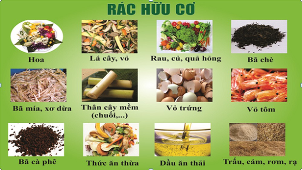 Bảng các loại rác hữu cơ thường thấy